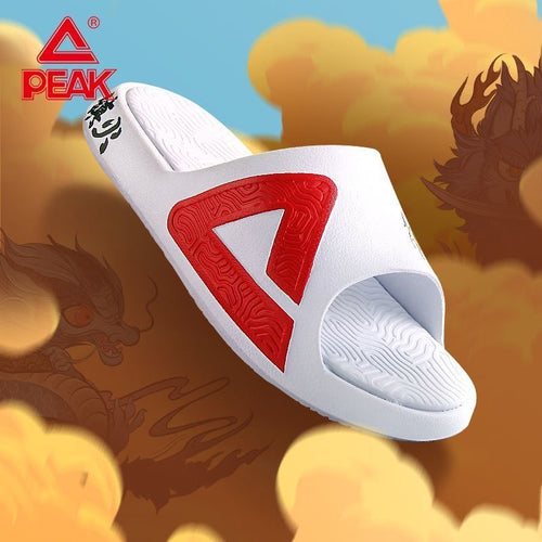 PEAK Slipper - Dragon Nine Sons Chiwen Graffiti Design